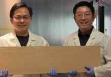 Cientistas criam supermadeira mais forte e mais leve do que o aço