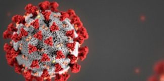 Cientistas de todo o mundo trabalham em 20 vacinas e 30 potenciais medicamentos